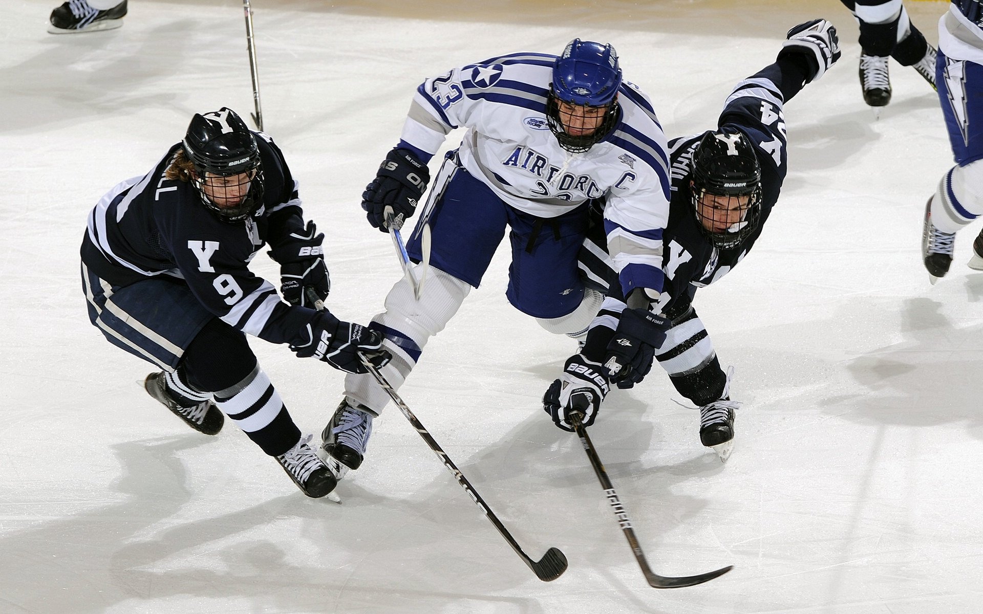 极端环境之战：高海拔、荒漠、冰雪的多重考验，极端环境生物