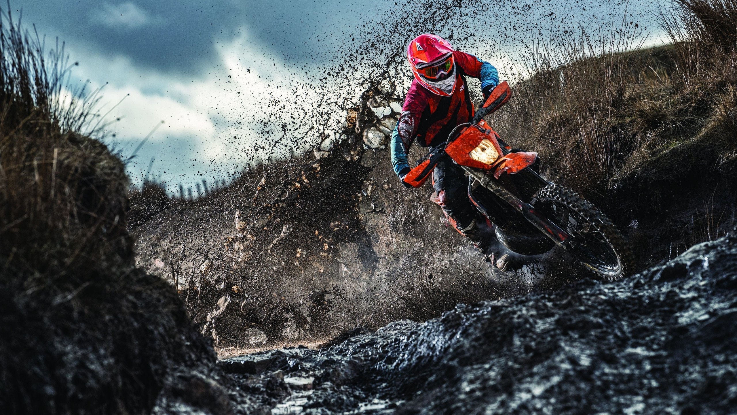 线上健身课程受欢迎，学员遍布全国，线上健身平台有哪些